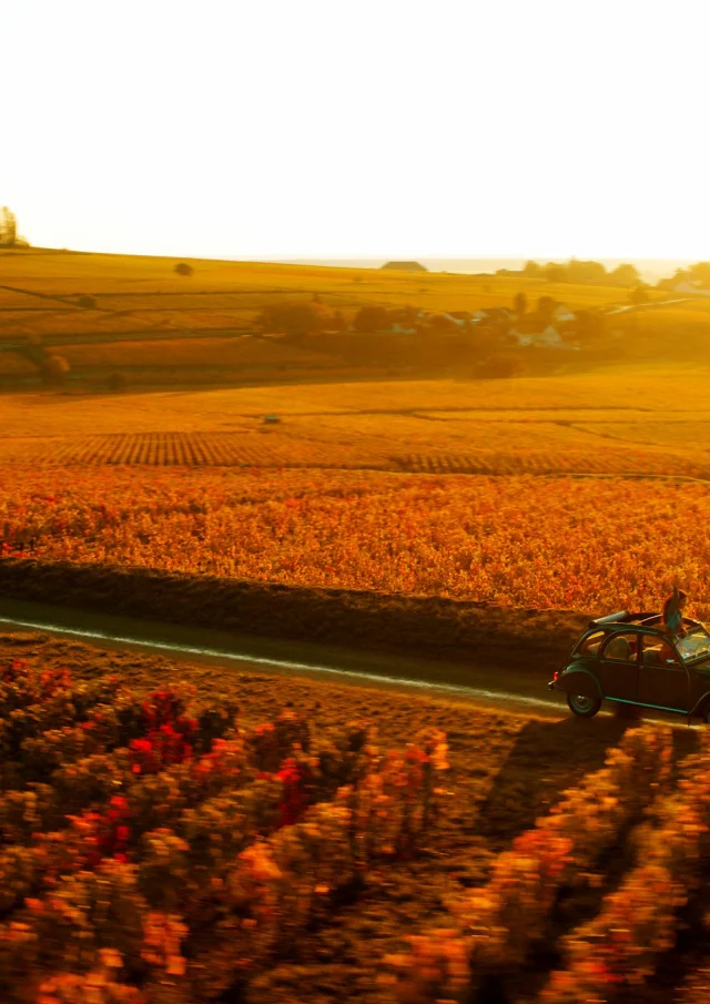 Route Grands Crus