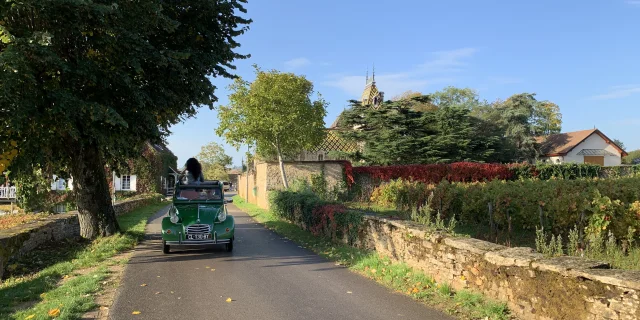 2cv Aloxe Corton Vignes Automne Bourgogne