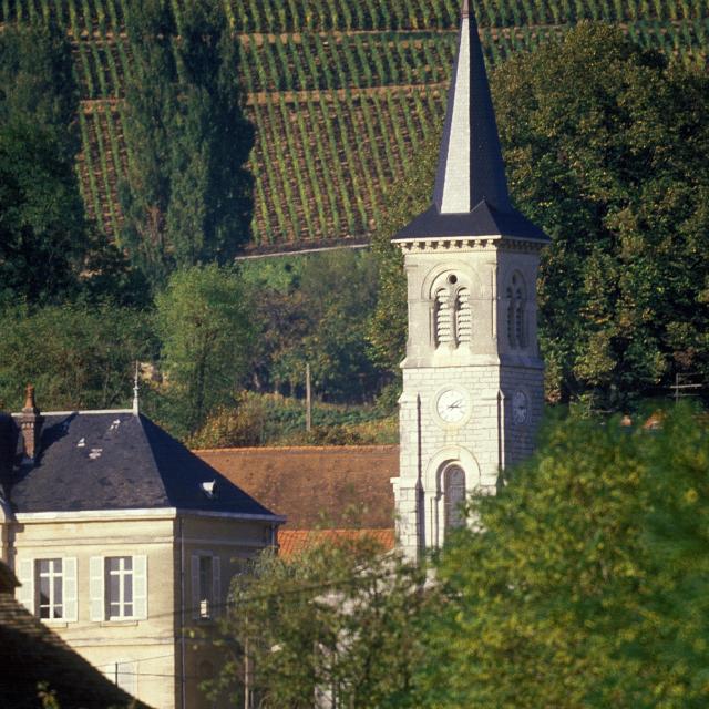 Aloxe Corton (1)