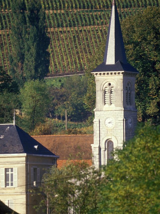 Aloxe Corton (1)
