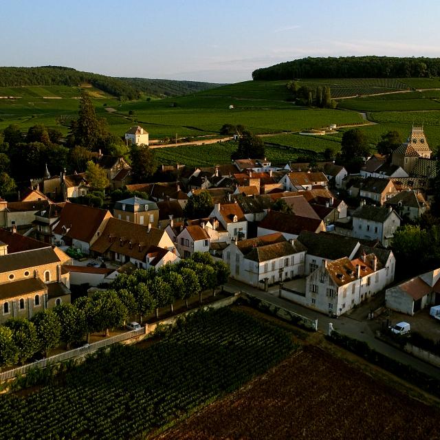 Aloxe Corton