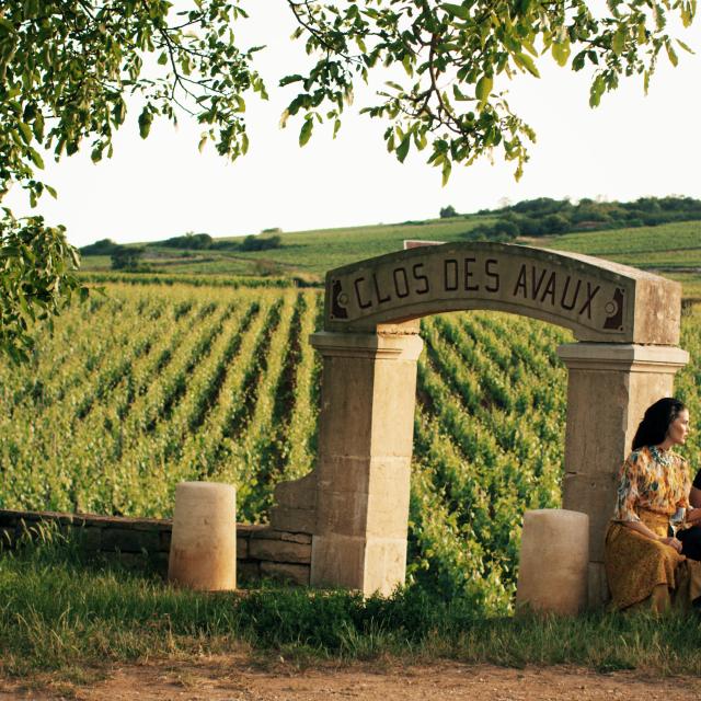 Aperitief voor de wijngaarden Clos Des Avaux Cote De Beaune Vrienden