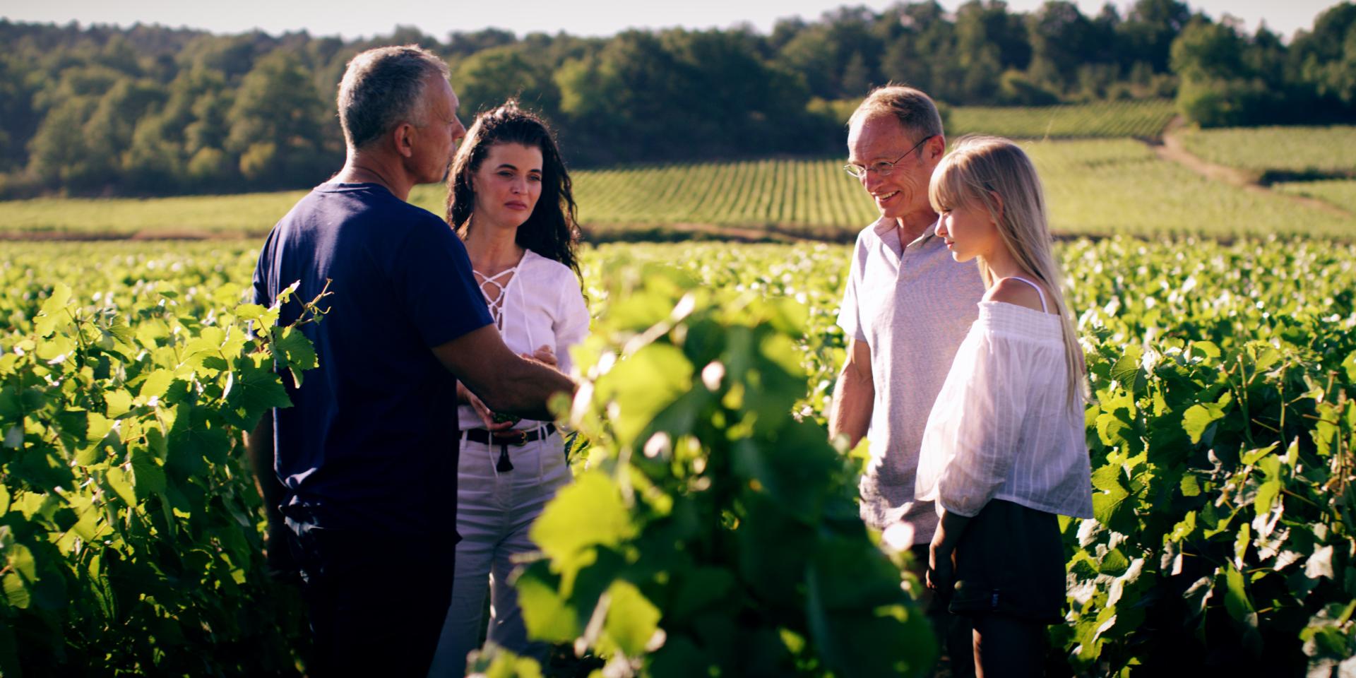 Visita al viñedo Meursault Vigneron