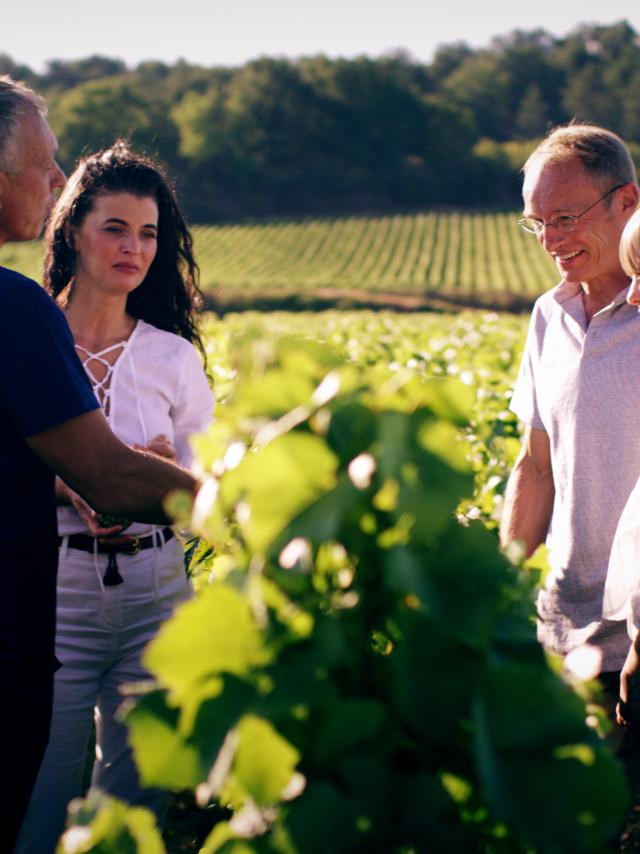 Visita al viñedo Meursault Vigneron