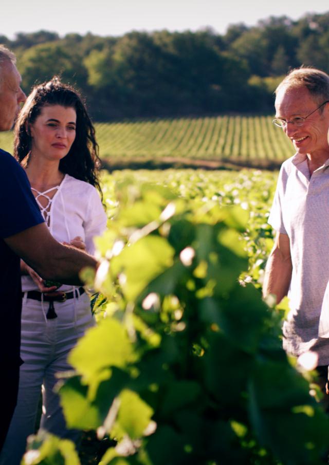 Wijngaard tour Meursault Vigneron