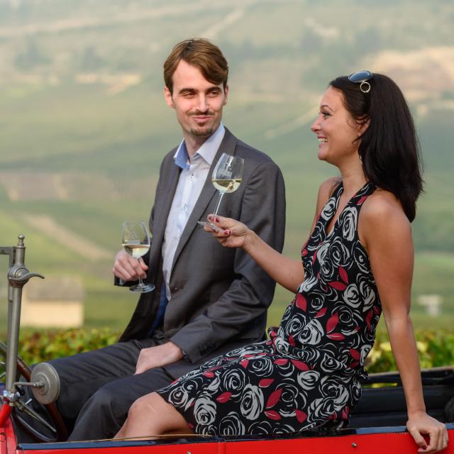 Bugatti Beaune Vineyard Route Des Grands Crus Chardonnay