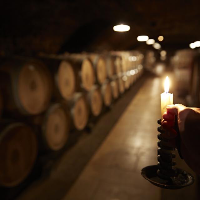 Cave Rat De Cave Pommard Bourgogne