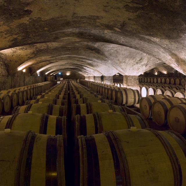 Caves et tonneaux à Meursault