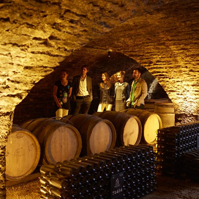 Amis en visite dans les caves voutées Patriarche à Beaune