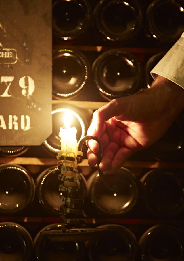 Bouteilles de Pommard bien rangées dans les caves Patriarche à Beaune