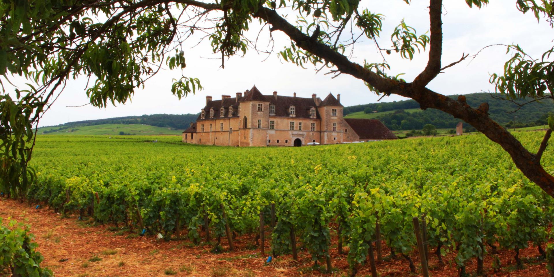 Chateau Clos Vougeot (7)