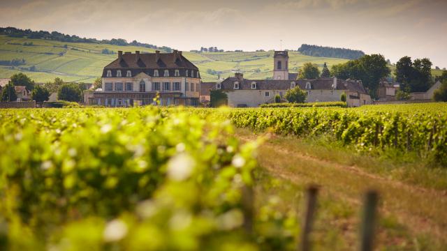 Château de Pommard et le Clos Marey au printemps