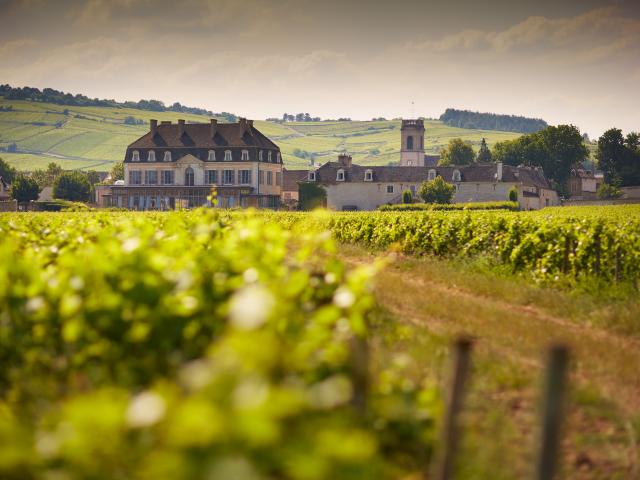 Chateau Pommard Vignes