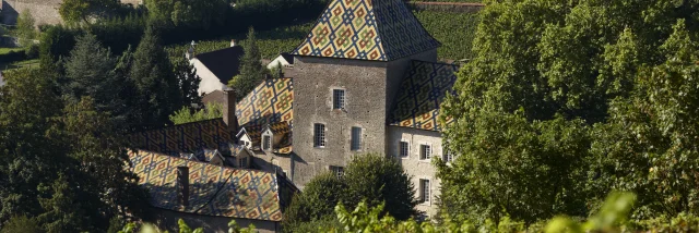 Chateau Santenay