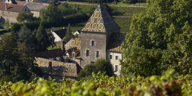 Chateau Santenay