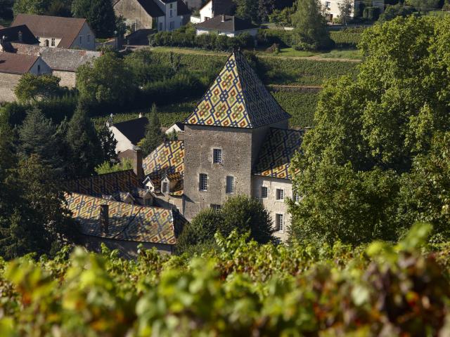Chateau Santenay