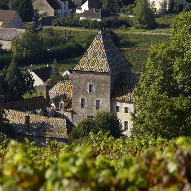 Château de Santenay - Philippe le Hardi