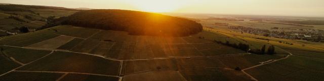 Colina Corton (2)