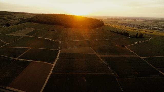 Soleil couchant sur la colline de Corton