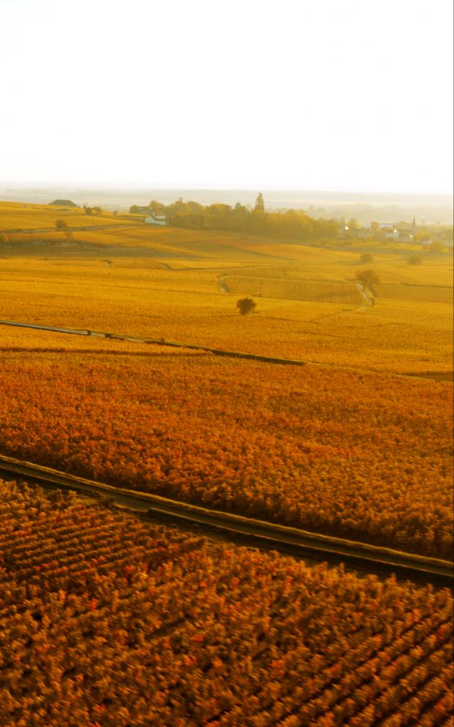 Corton heuvel bij zonsondergang in de herfst