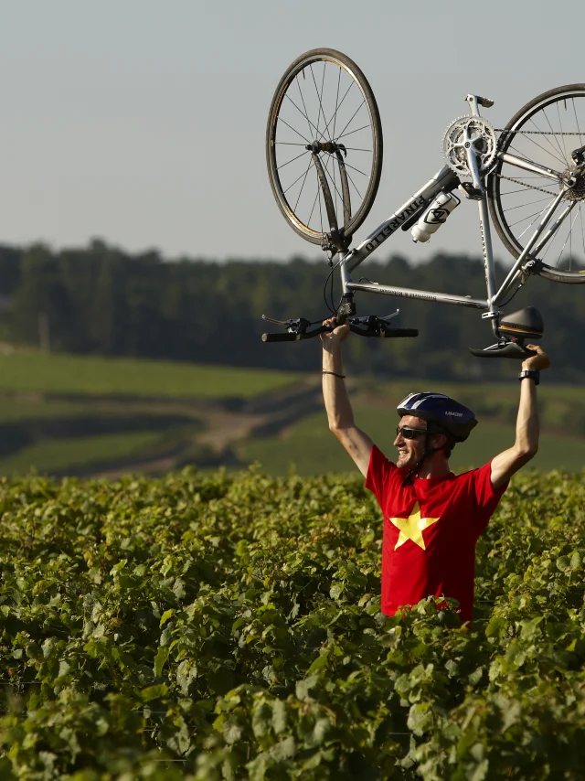 Cycliste Velo Vignes Bourgogne