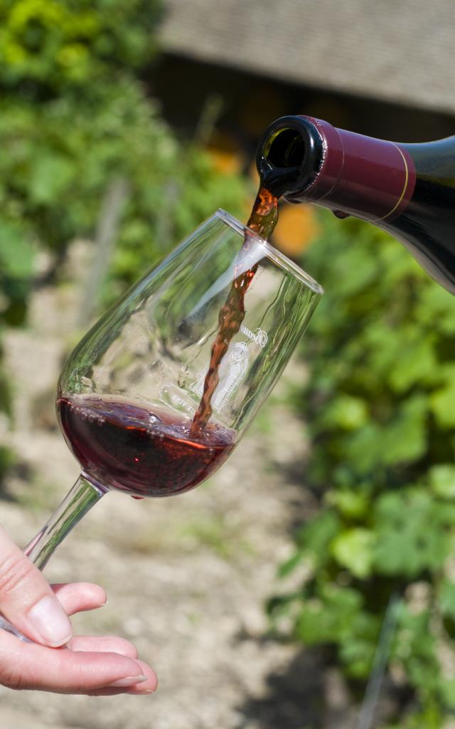 Degustation Pinot Noir Bottle Glass