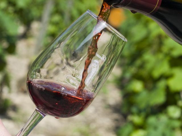 Degustação Pinot Noir Bottle Glass
