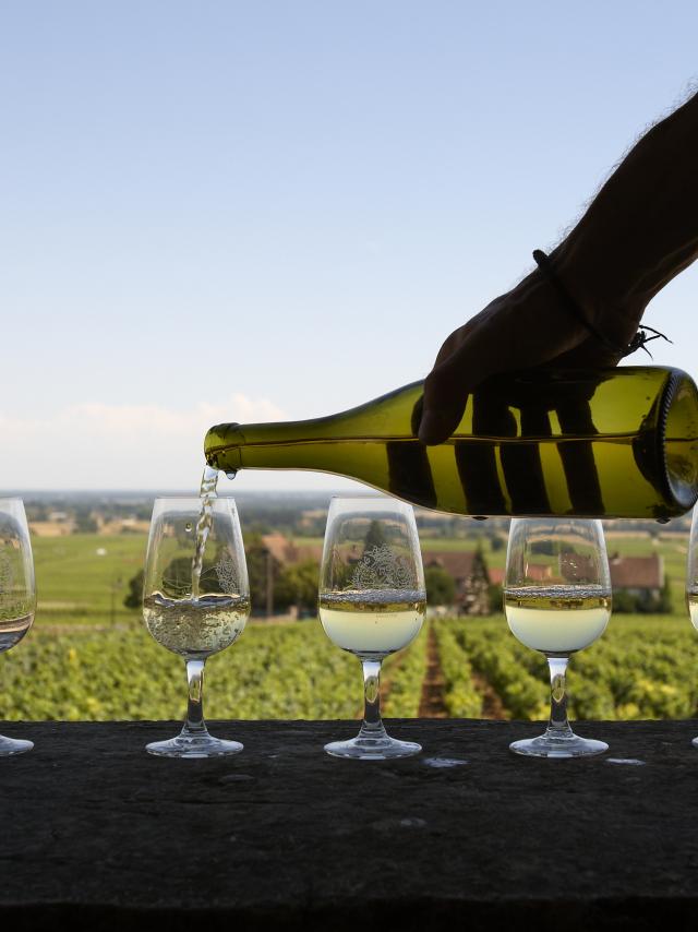 Vineyard tasting