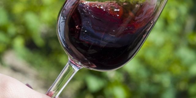 Degustación de vinos Pinot Noir Beaune