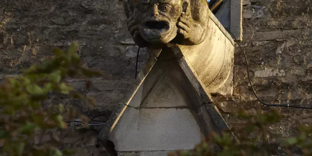 Gargoyle Meursault