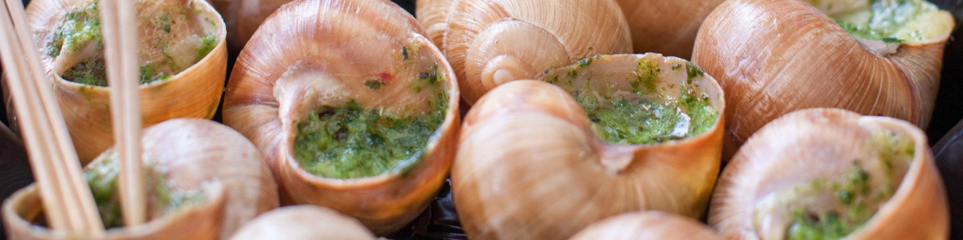 Gastronomy Burgundy Escargots Chardonnay