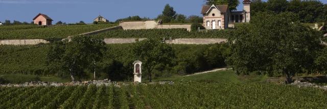 Maison Vigneronne Meursault