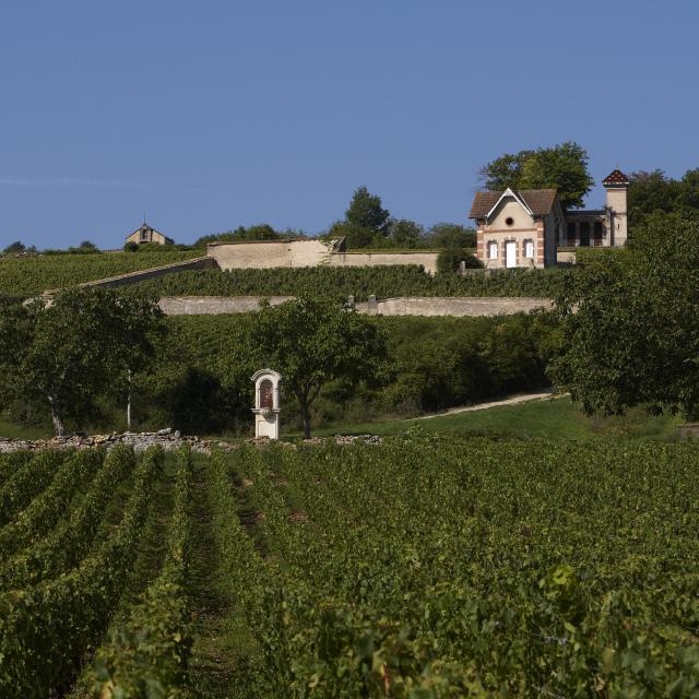 Haus Vigneronne Meursault
