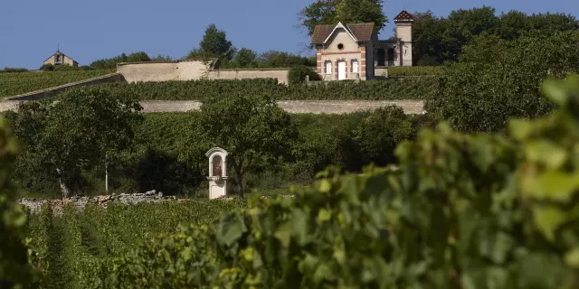 House Vignes Meursault