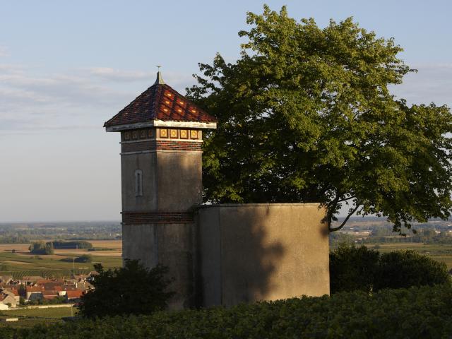 Casa de la Viña