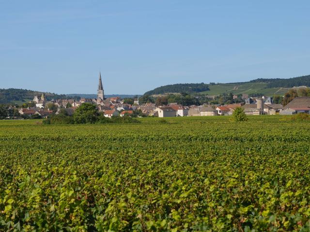 Meursault Vignobles 3