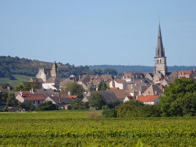 Meursault Vignobles 4