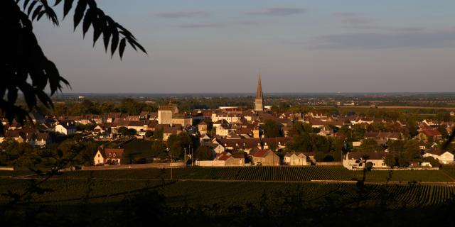 Meursault Pueblo 2
