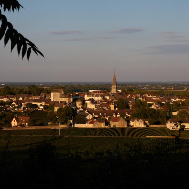 Meursault Pueblo 2