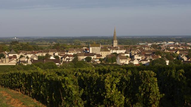 Dorf Meursault
