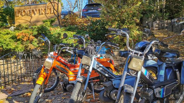 Brommer Herfst