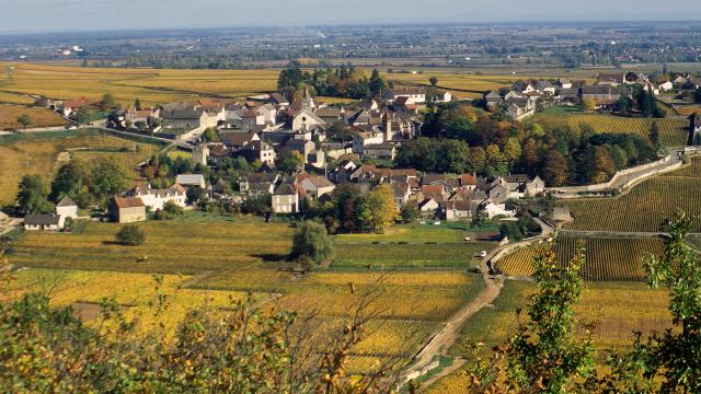 Monthelie Automne