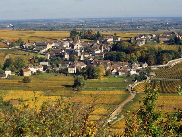 Monthelie Herfst