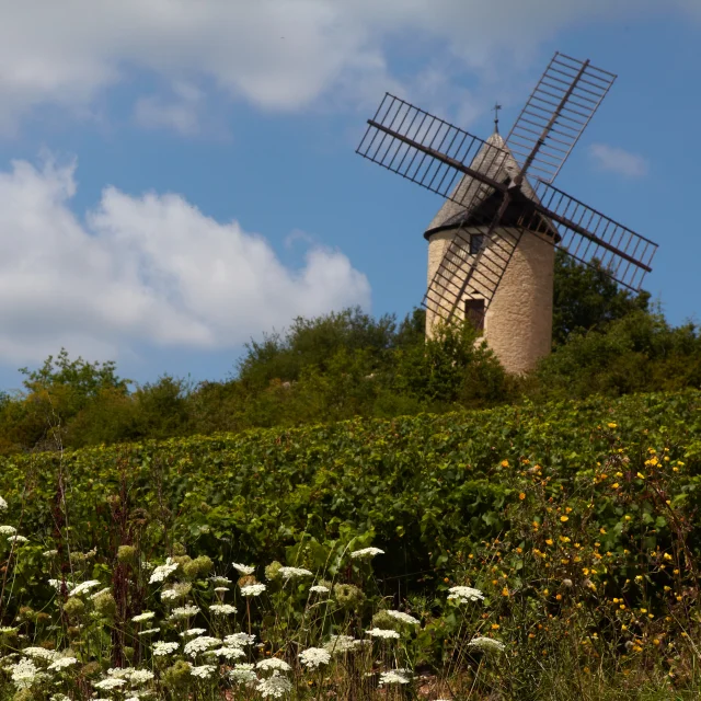 Moulin Ete Santenay