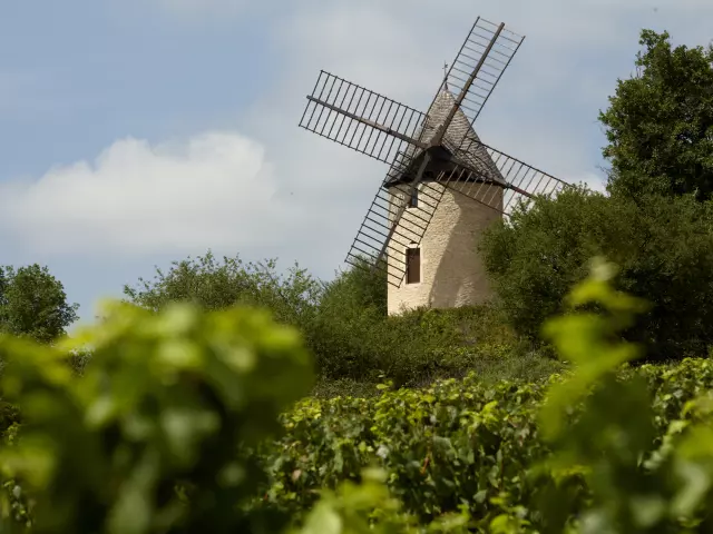 Santenay Molen
