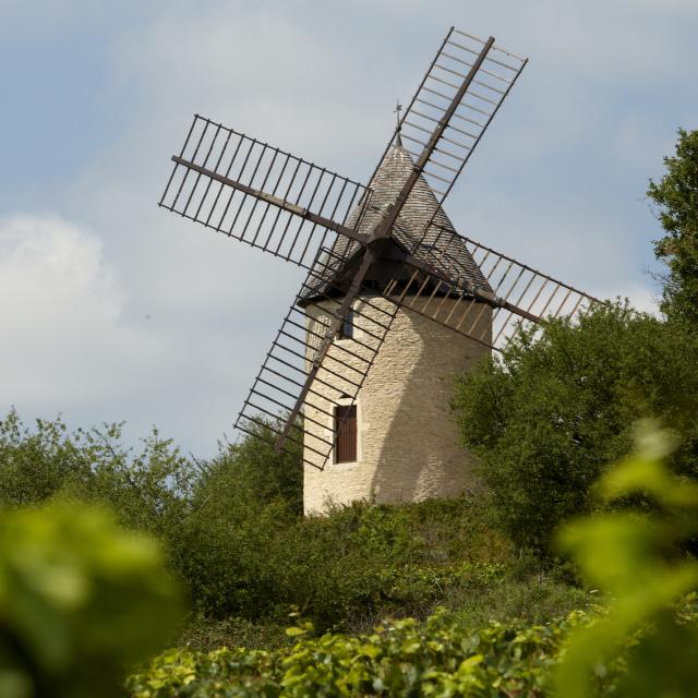 Mühle von Santenay