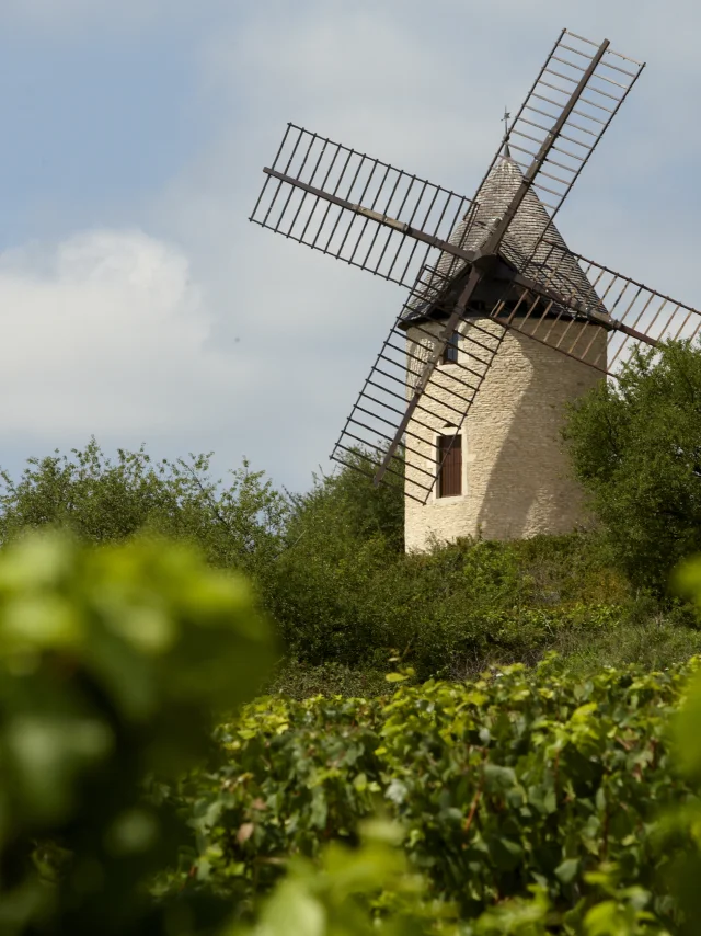 Moulin de Santenay