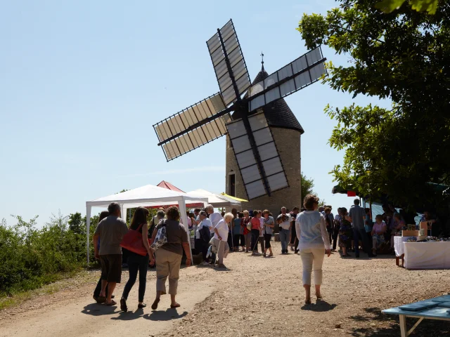 Moulin Santenay Ete