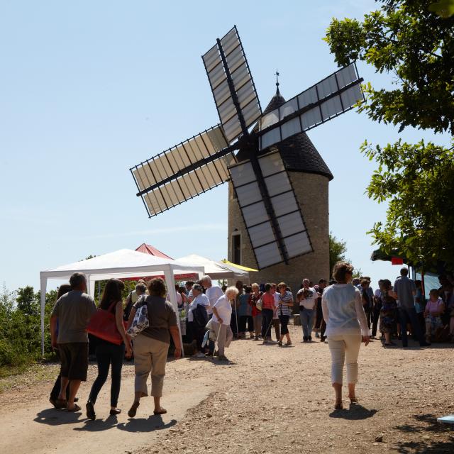 Moulin Santenay Ete