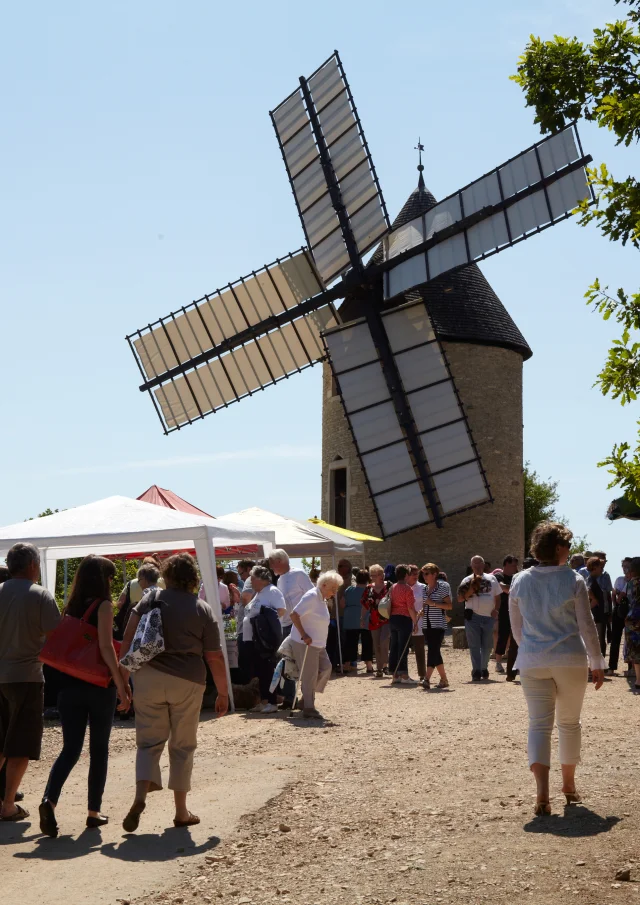 Moulin Santenay Ete